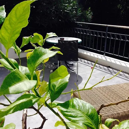 Πανσιόν La Saint-Pierre-dʼIrube